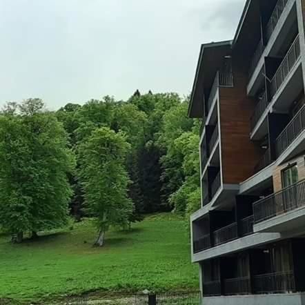 Отель AREA PARK Bakuriani Bakurianis Andeziti-13